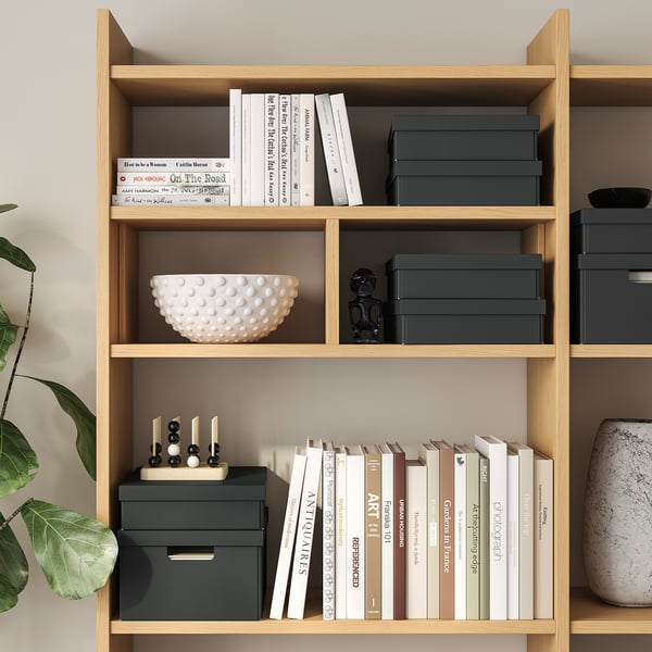 FJÄDERHARV Caja de almacenamiento+tapa, antracita, 9 ¾x13 ¾x3 ¼ "