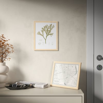 HÄCKHAGTORN Marco, pino, 8x10 "