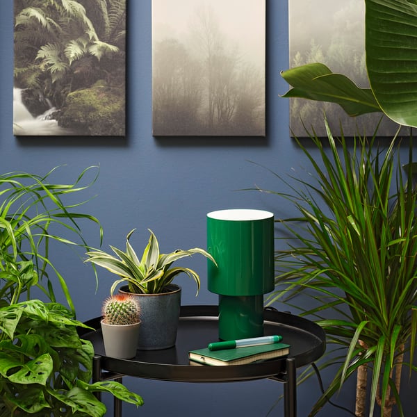 HIMALAYAMIX Planta en maceta, varias plantas plantas+follaje, 4 "