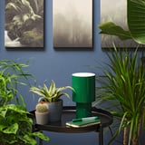 HIMALAYAMIX Planta en maceta, varias plantas plantas+follaje, 4 "