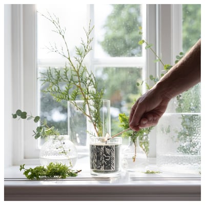 JÄMTSKOGEN Vela aromática recipiente de vidrio, ciprés+eucalipto/verde oscuro, 45 hr