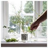 JÄMTSKOGEN Vela perfumada recipiente de vidrio, ciprés+eucalipto/verde oscuro, 45 hr