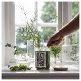 JÄMTSKOGEN Vela perfumada vaso tapa/2 mechas, ciprés+eucalipto/verde oscuro, 100 hr