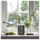 JÄMTSKOGEN Vela perfumada vaso tapa/2 mechas, ciprés+eucalipto/verde oscuro, 100 hr