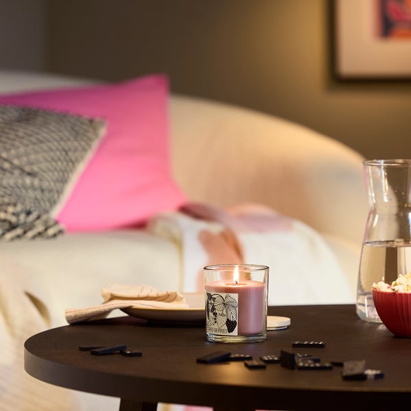 LOTSFÅGEL Vela arom recipiente vidrio+tapa, Bayas rojas rosado claro, 40 hr