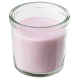 LUGNARE Vela perfumada recipiente de vidrio, Jazmín/rosado, 20 hr