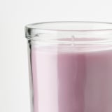LUGNARE Vela perfumada recipiente de vidrio, Jazmín/rosado, 40 hr