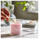 LUGNARE Vela perfumada recipiente de vidrio, Jazmín/rosado, 40 hr