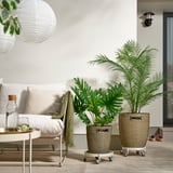 OLIVBLAD Jardinera con ruedas, interior/exterior/color hueso, 12 ½ "