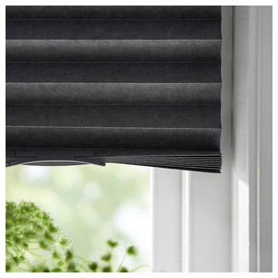 SCHOTTIS Persiana plisada opaca, gris oscuro, 39 ¼x74 ¾ "