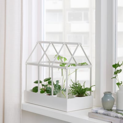 SENAPSKÅL Invernadero decorativo, interior/exterior blanco, 13 ½ "