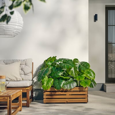 STJÄRNANIS Jardinera, exterior acacia, 29 ½x10 ¾ "