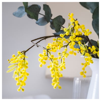 SVARTOXBÄR Vela aromática recipiente de vidrio, Mimosa/amarillo, 45 hr
