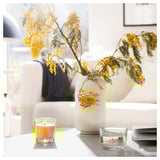 SVARTOXBÄR Vela aromática recipiente de vidrio, Mimosa/amarillo, 25 hr