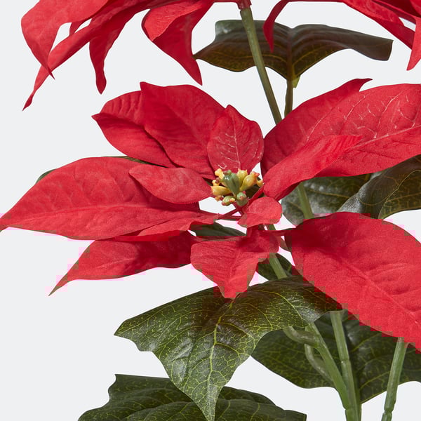 VINTERFINT Planta artificial en maceta, interior/exterior euphorbia pulcherrima/rojo, 4 ¾ "
