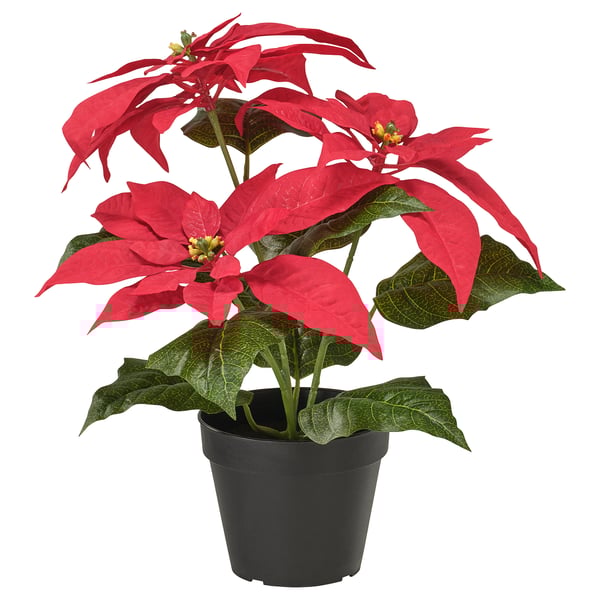 VINTERFINT Planta artificial en maceta, interior/exterior euphorbia pulcherrima/rojo, 4 ¾ "