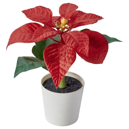 VINTERFINT Planta artificial en maceta, interior/exterior euphorbia pulcherrima/rojo, 2 ¼ "